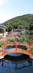 Ảnh quê
