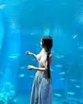Lượm lặt vài pic ảnh trên mạng