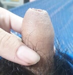 Con cu nhỏ
