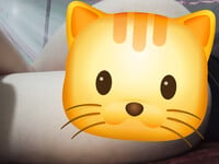 bán alb giá rẻ