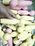 Sextoy nam nữ