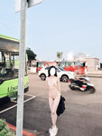 Sưu tầm
