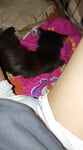 Serry cũ mong mn thông cảm