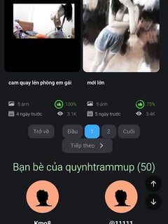 đĩ lừa