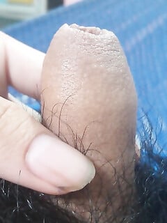 Con cu nhỏ