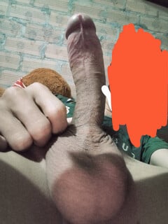 Cu k9 hơi nhỏ